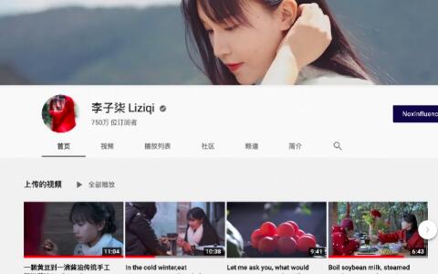 李子柒商業(yè)版圖全貌