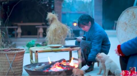 李子柒商業(yè)版圖全貌