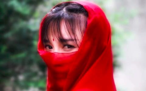 李子柒商業(yè)版圖全貌